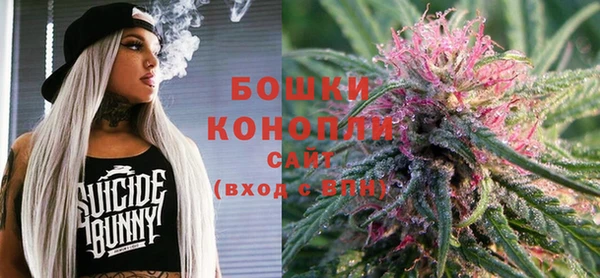 крисы Абдулино