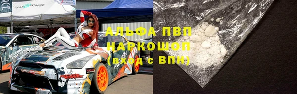дмт Абаза