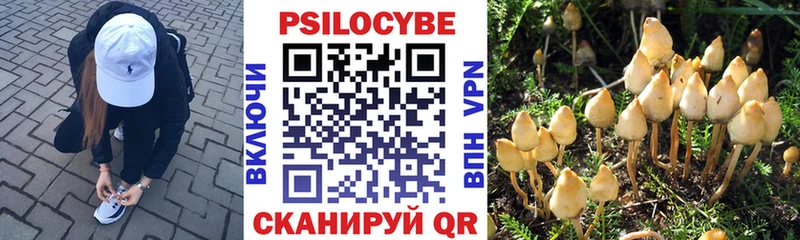 Псилоцибиновые грибы ЛСД  даркнет сайт  Спас-Клепики 